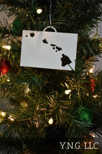 Hawaii State Cutout In Rectangle Ornament Holiday Christmas Decor USA PR244-HIR