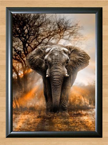 Elephant Wall Home House Deco Room Kid Children Nature Art Photo Print Poster A3