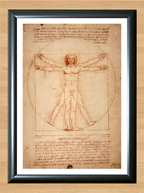 Vitruvian Man Leonardo da Vinci Wall Home Classic Art Deco  Print Photo Poster A3