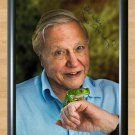 David Attenborough Life on Earth Living Planet Signed Autographed Photo Poster Print Memorabilia A3