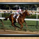 Affirmed Steve Cauthen Signed Autographed Photo Poster Print Memorabilia A3