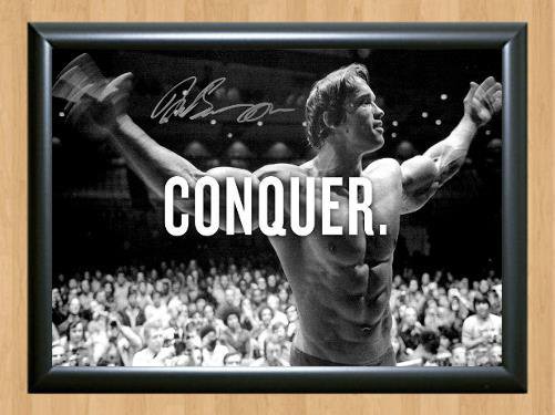 Arnold Schwarzenegger Iron Gym Signed Autographed Photo Poster Print Memorabilia A3