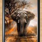 Elephant Wall Home House Deco Room Kid Children Nature Art Photo Print Poster A4
