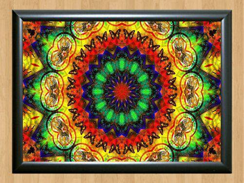 Psychedelic Trippy Funky Mushrooms Audio Hippie Visulization  Photo Print 12 A4