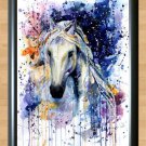 Watercolour Horse Painting Home Deco Room Child Kid Art Photo Print Poster  3 A4