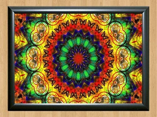 Psychedelic Trippy Funky Mushrooms Audio Hippie Visulization  Photo Print 12 A2 16.5x23.4""