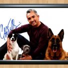 Cesar Millan Dog Whisperer Signed Autographed Photo Poster Print Memorabilia A2 16.5x23.4""