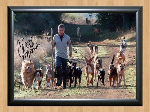 Cesar Millan Dog Whisperer Signed Autographed Photo Poster Print Memorabilia A2 16.5x23.4""
