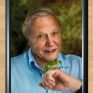 David Attenborough Life on Earth Living Planet Signed Autographed Photo Poster Print Memorabilia A2 