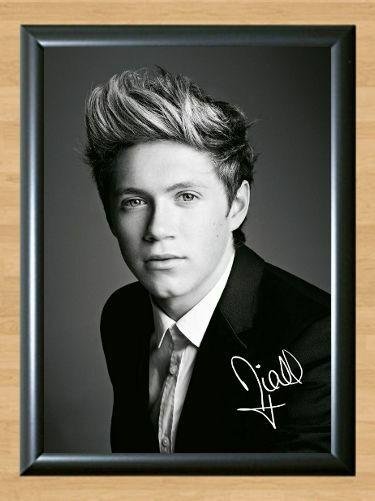 Niall Horan One Direction 1D 1 D Signed Autographed Photo Poster Print Memorabilia A2