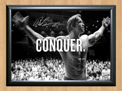 Arnold Schwarzenegger Iron Gym Signed Autographed Photo Poster Print Memorabilia A2 16.5x23.4""
