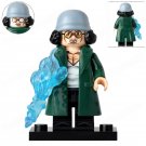 One Piece Aokiji Kuzan Minifigures Building Toys