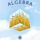 Elementary Algebra for College Students by Dennis C. Runde and Allen R. Angel