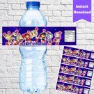 The Super Bomber Man Water Bottle Labels