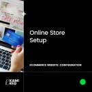 ONLINE STORE SETUP: Work From Home & Make Money Online NOW! eCommerce Website