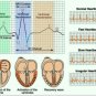 Portable ECG Monitor Bluetooth Heart Beat Monitor EKG Machine Electrocardiogram