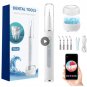 Visual Ultrasonic Dental Scaler Teeth Whitening Cleaner Dental Stone Calculus