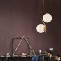 BAODEN 2 Lights Globe Pendant Light Mid Century Chandelier Modern Hanging Light