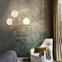 BAODEN 2 Lights Globe Pendant Light Mid Century Chandelier Modern Hanging Light