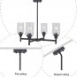 4 Light Glass Chandelier Black Kitchen Lighting Fixture Hanging with Cylinder Clear Pendant Light