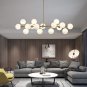 Chandelier 16 Round Glasses LED Ceiling Light Pendant, G4 LED Bulbs Bronze Gold (4.7" Lampshade)