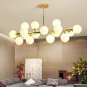 Chandelier 16 Round Glasses LED Ceiling Light Pendant, G4 LED Bulbs Bronze Gold (4.7" Lampshade)
