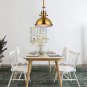 Industrial Antique One-Light Pendant Lamp-Litfad Frosted light Iron Pendent Light
