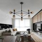 Vintage Chandelier Black 10-Light DNA Pendant Light with Globe Glass Shade for Farmhouse Dining Room