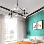 Vintage Chandelier Black 10-Light DNA Pendant Light with Globe Glass Shade for Farmhouse Dining Room