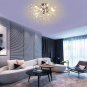 Chandeliers Hand Made Firework LED Light Crystal Pendant Lighting Ceiling Light Fixtures Chandeliers