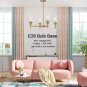 4 Light Metal Pendant Lighting Traditional Cylinder Ceiling Light with Clear Glass Shades Fixtures