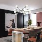Chandelier Lighting Brushed Nickel Pendant with Adjustable ArmsBrushed Nickel Pendant Lighting