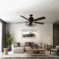 Borg 5 Blade Ceiling Fan with Remote