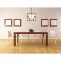 OVE Decors Anares II Black Finish LED Integrated Pendant