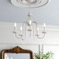 Andrews 5 - Light Candle Style Classic / Traditional Chandelier with Crystal Accents