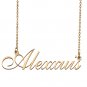 Personalized Custom Any Name Necklace for Women Alexxuis