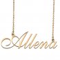 Personalized Custom Any Name Necklace for Women Allena