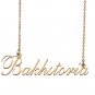 Custom Nameplate Necklace Personalized Jewelry Gifts for Women Bakhstoria