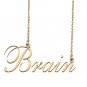 Custom Nameplate Necklace Personalized Jewelry Gifts for Women Brain