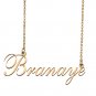 Custom Nameplate Necklace Personalized Jewelry Gifts for Women Branaye
