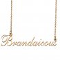 Custom Nameplate Necklace Personalized Jewelry Gifts for Women Brandaicous