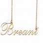 Custom Nameplate Necklace Personalized Jewelry Gifts for Women Breani