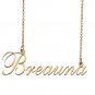 Custom Nameplate Necklace Personalized Jewelry Gifts for Women Breauna
