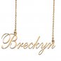 Custom Nameplate Necklace Personalized Jewelry Gifts for Women Breckyn