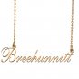 Custom Nameplate Necklace Personalized Jewelry Gifts for Women Breehunnitt