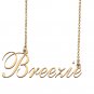 Custom Nameplate Necklace Personalized Jewelry Gifts for Women Breezie
