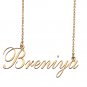 Custom Nameplate Necklace Personalized Jewelry Gifts for Women Breniya
