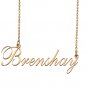Custom Nameplate Necklace Personalized Jewelry Gifts for Women Brenshay