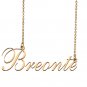 Custom Nameplate Necklace Personalized Jewelry Gifts for Women Breonte