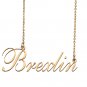 Custom Nameplate Necklace Personalized Jewelry Gifts for Women Brexlin